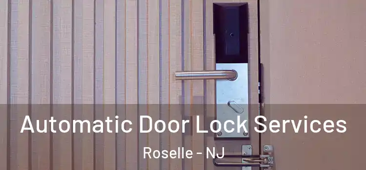 Automatic Door Lock Services Roselle - NJ