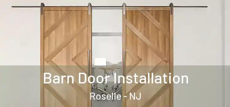  Barn Door Installation Roselle - NJ