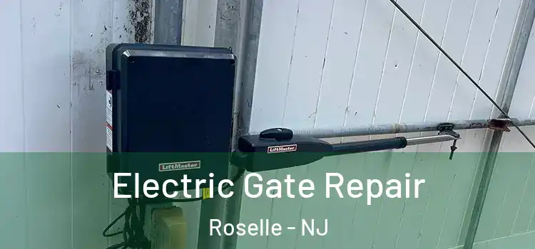 Electric Gate Repair Roselle - NJ