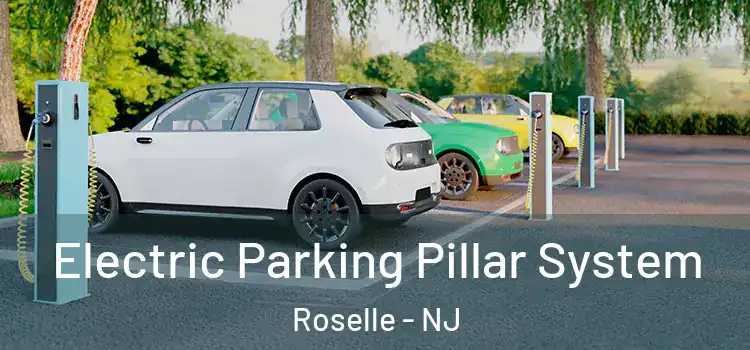  Electric Parking Pillar System Roselle - NJ