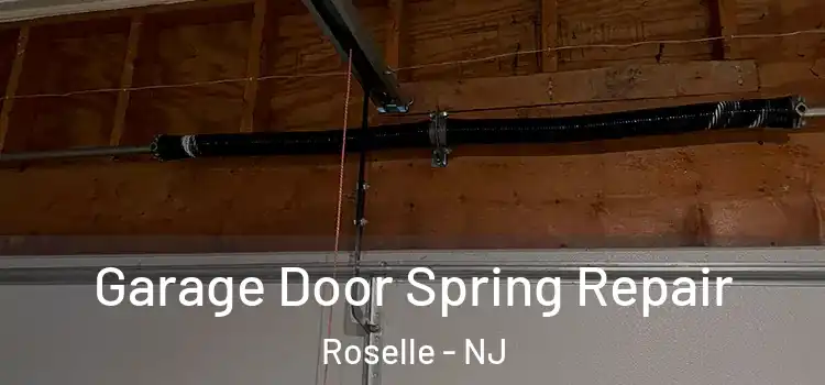  Garage Door Spring Repair Roselle - NJ