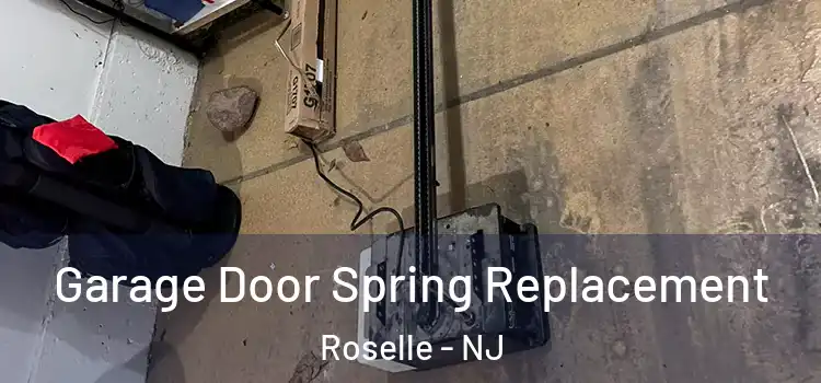  Garage Door Spring Replacement Roselle - NJ