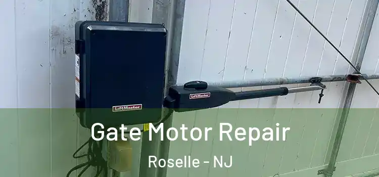 Gate Motor Repair Roselle - NJ