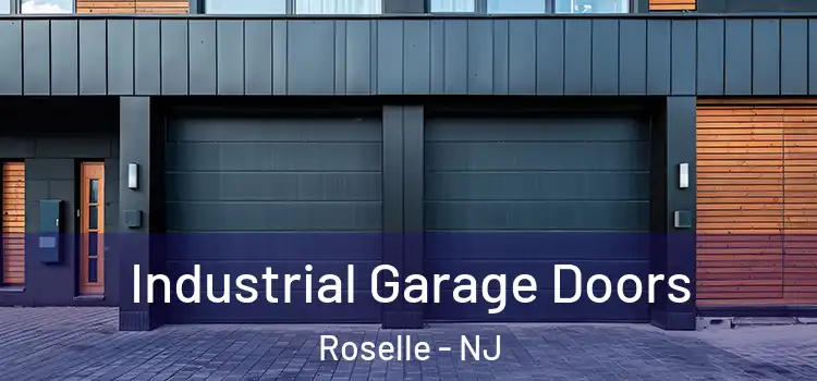  Industrial Garage Doors Roselle - NJ