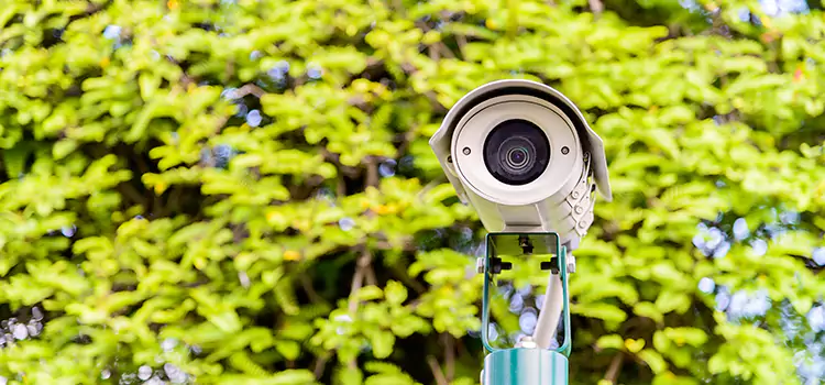 Advanced Surveillance Solutions for Every Need in Roselle