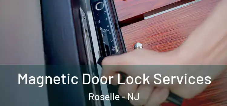 Magnetic Door Lock Services Roselle - NJ