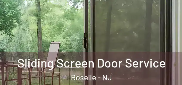 Sliding Screen Door Service Roselle - NJ